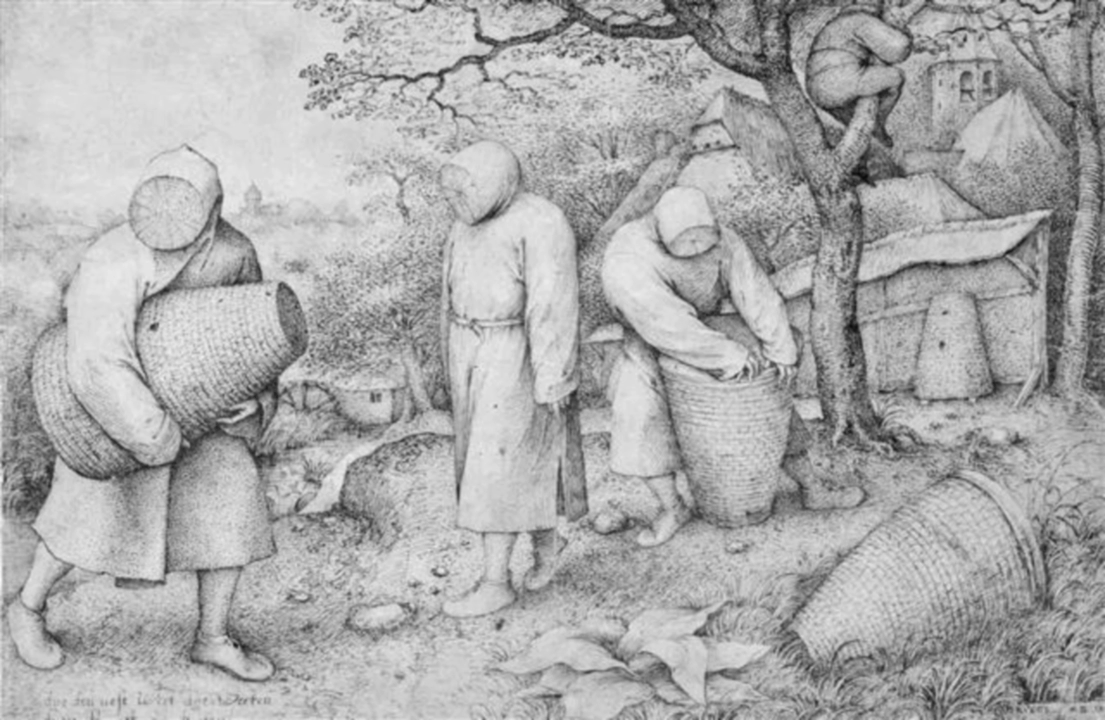 중세시대 양봉업